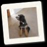 CC Casey Chloe 038.jpg